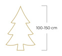 Jodła kaukaska STANDARD (100-150 cm)